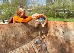 Sauber Gemacht 500 Freiwillige Beim SaalePUTZ In Jena 40